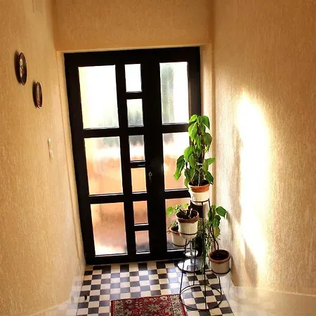 Sasa * تْسْغيكفانِتْسا